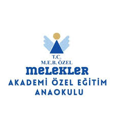 özel eğitim okulu